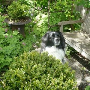 Meet your Posher, Willow